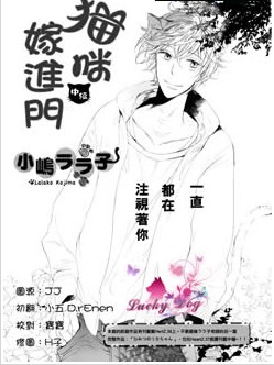 猫咪嫁进门,猫咪嫁进门漫画